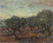 Vincent Van Gogh Olive Orchard,Saint-Remy Spain oil painting artist